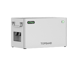 1 Hybrid Micro Inverter