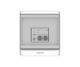 Hybrid Micro Inverter